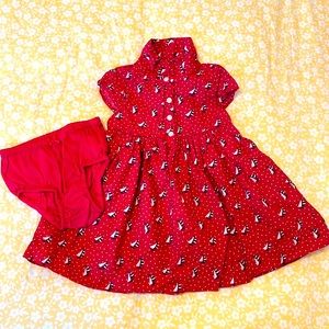 Gap Baby dress and bloomers 18-24 months